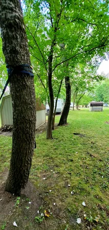 a view of a yard with a tree