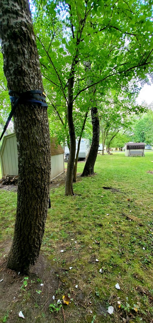 18-29 Woodhaven Lakes Sublette, IL 61367 - Photo 12 of 15 a view of a yard with a tree