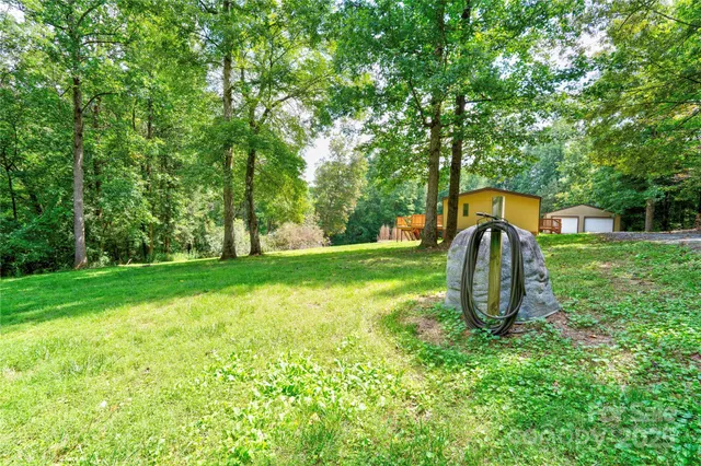 a view of a park with large trees