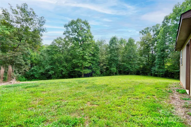 a view of a grassy field with trees in the background