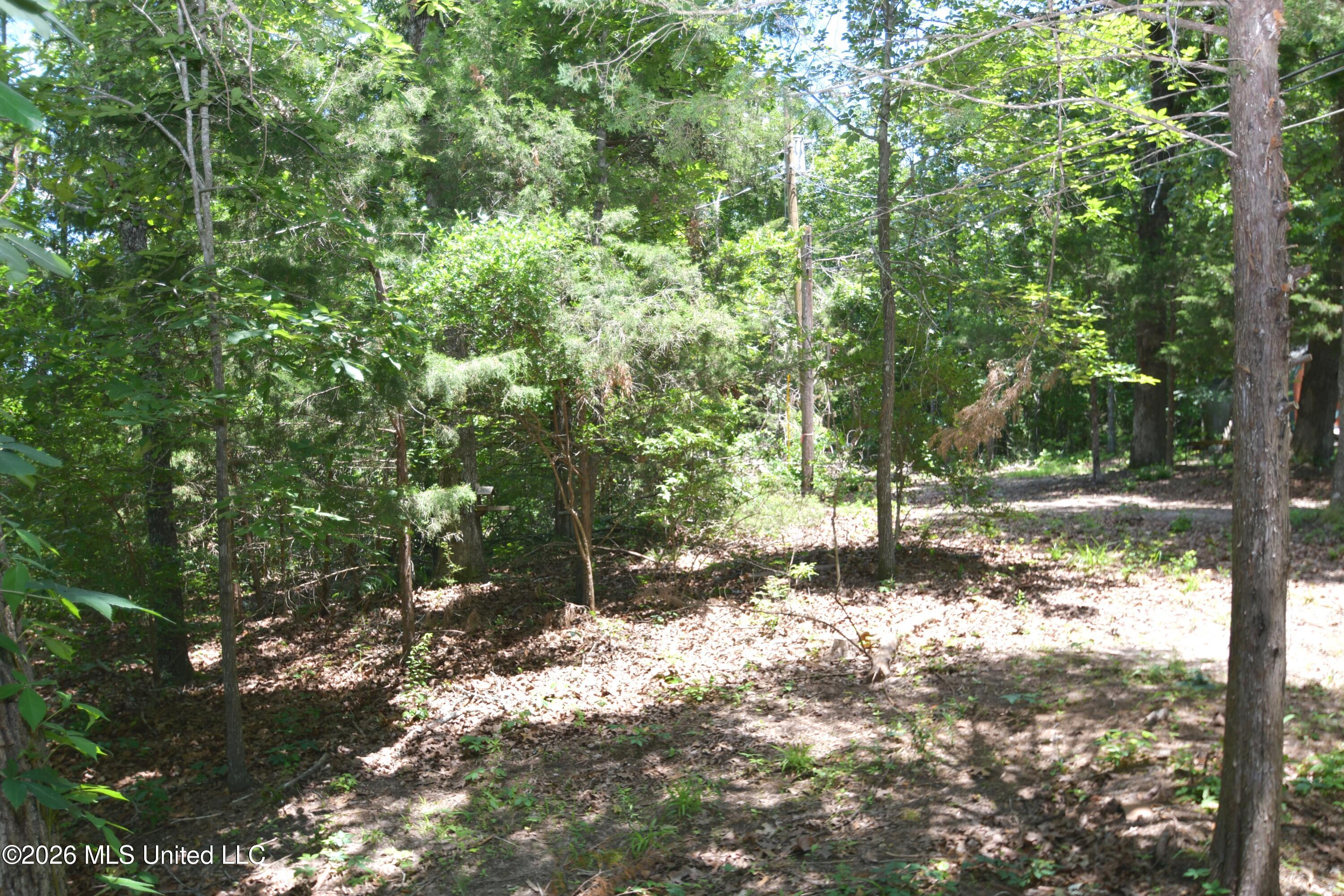 180 Red Oak Road Ashland, MS 38603 - Photo 15 of 33 Back Yard