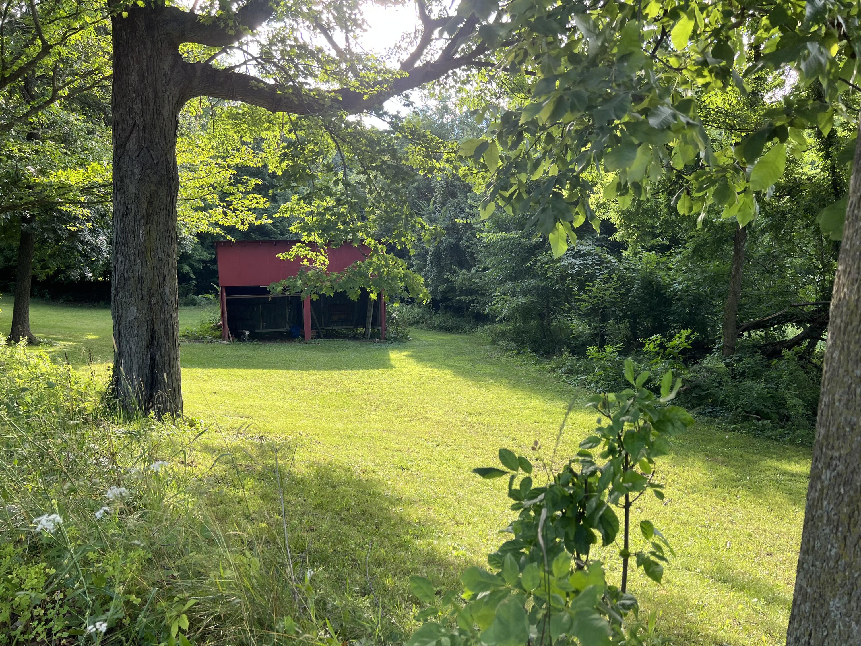 12403 11 Mile Road Ceresco, MI 49033 - Photo 20 of 26 shed