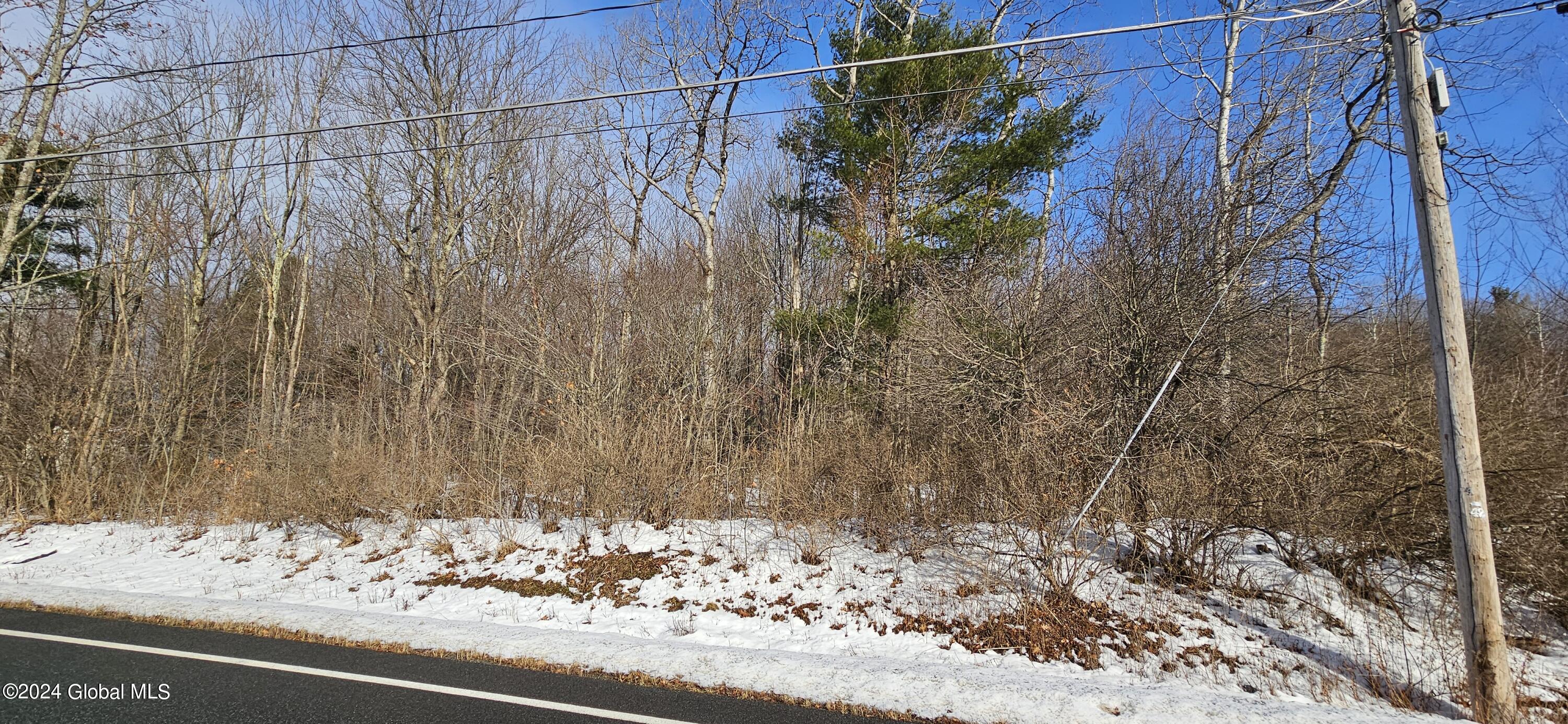 L2 Weast Road Schenectady, NY 12306 - Photo 2 of 5 Weast Rd 1