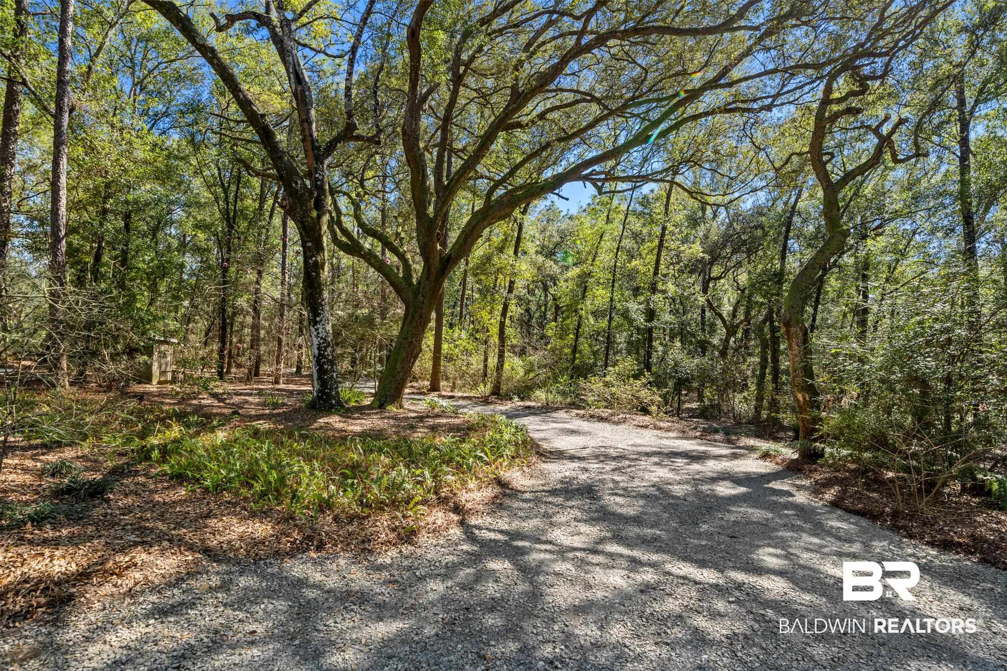 14335 County Road 9 Foley, AL 36535 - Photo 40 of 50 Driveway