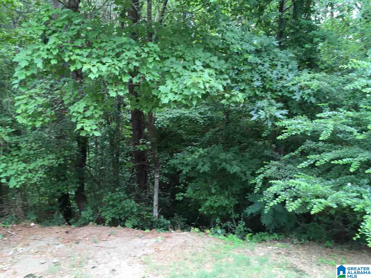 220 Warwick Lane Alabaster, AL 35007 - Photo 12 of 13