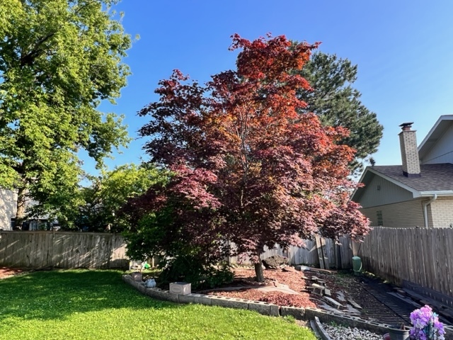 1006 North Delphia Avenue Park Ridge, IL 60068 - Photo 27 of 28 a view of a backyard with a garden