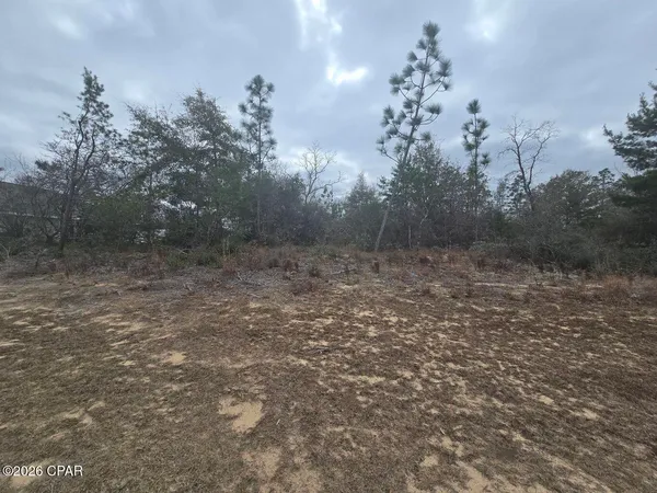 $3,950 | Tbd Hampshire Boulevard, Chipley, FL 32428