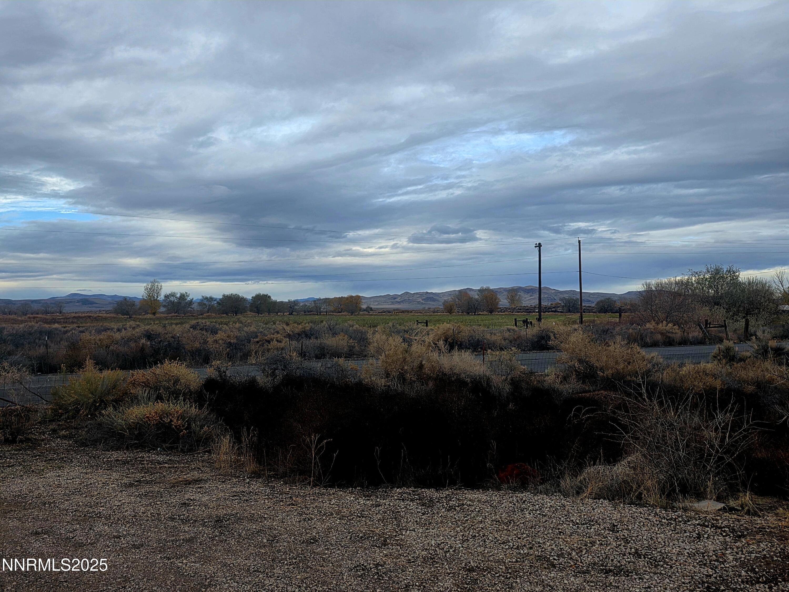3146 Lone Tree Road Fallon, NV 89406 - Photo 23 of 23 a view of a yard