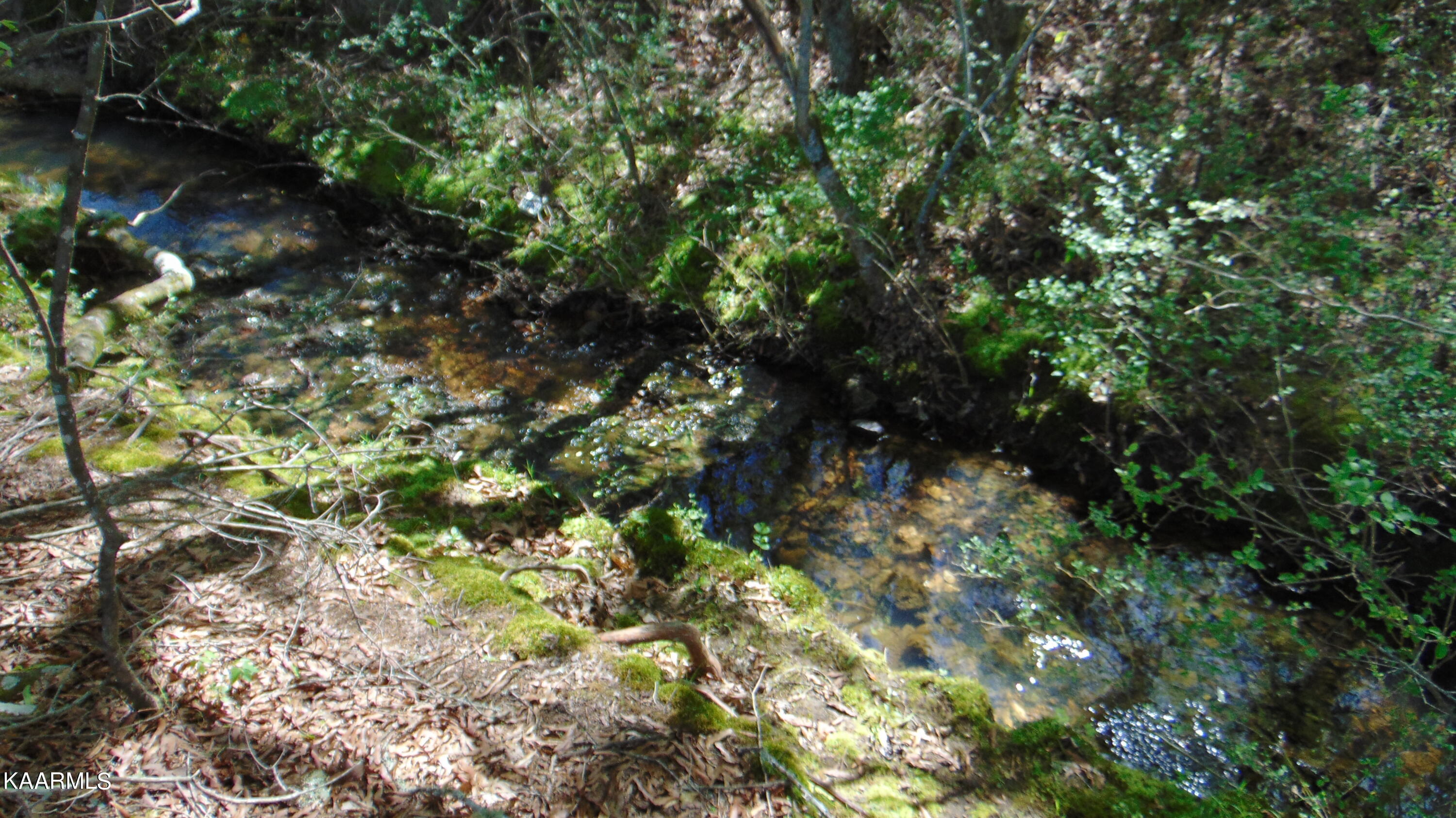3 Euchee Road Ten Mile, TN 37880 - Photo 14 of 26 DSC03085