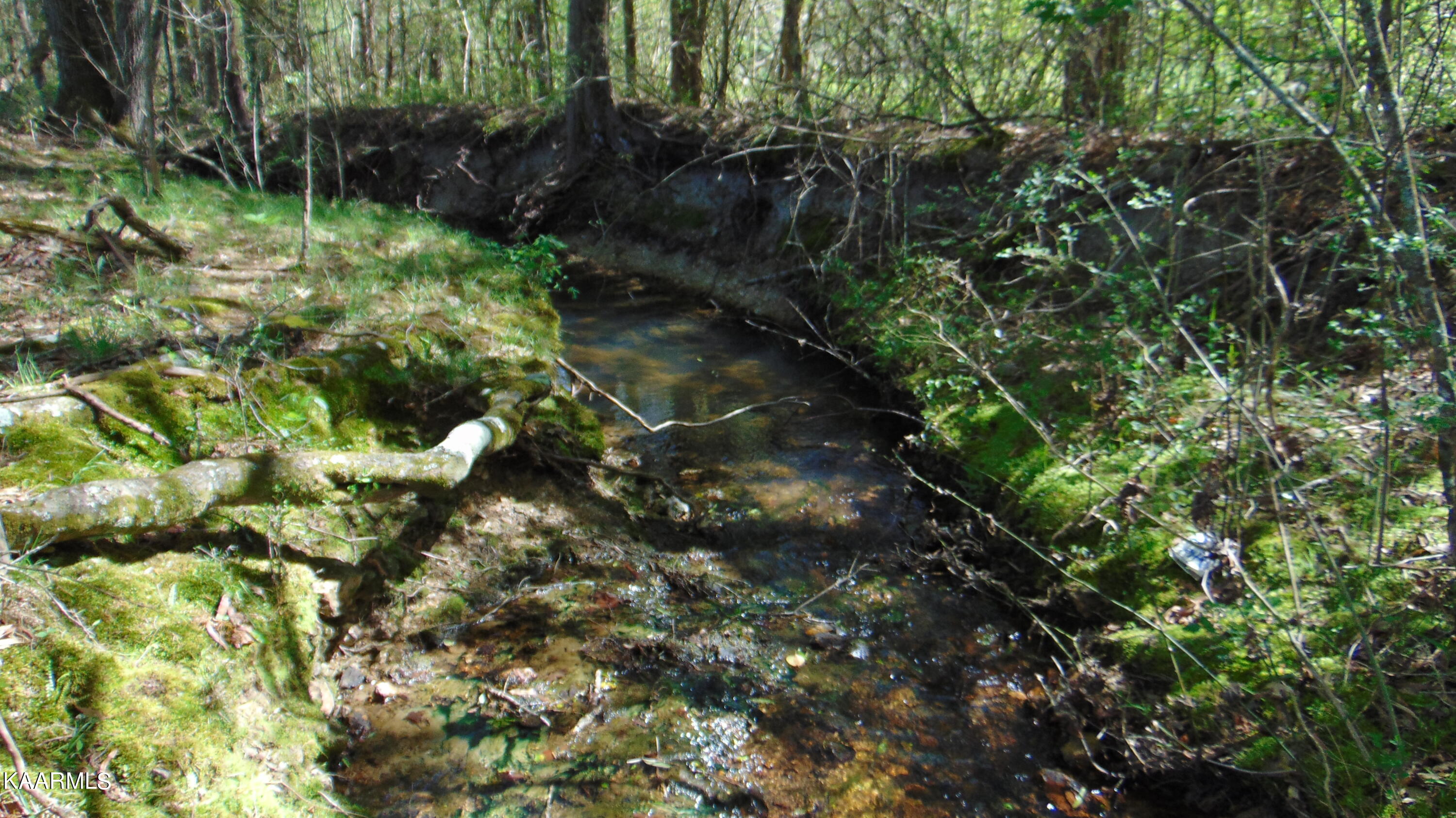 3 Euchee Road Ten Mile, TN 37880 - Photo 15 of 26 DSC03087