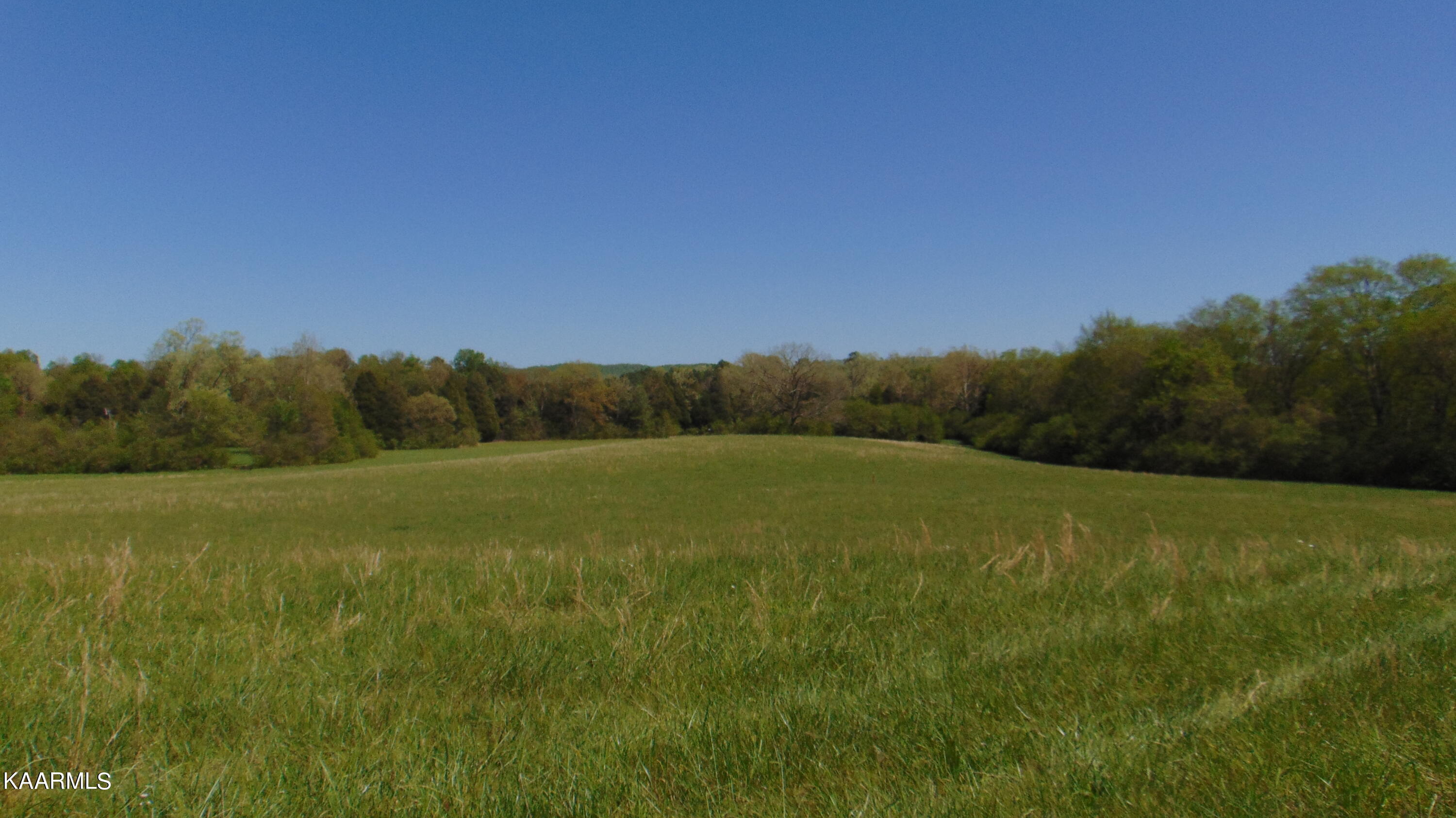 3 Euchee Road Ten Mile, TN 37880 - Photo 8 of 26 DSC03063