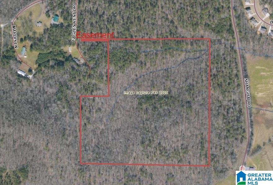 0 Mardis Lane Springville, AL 35146 - Photo 6 of 7
