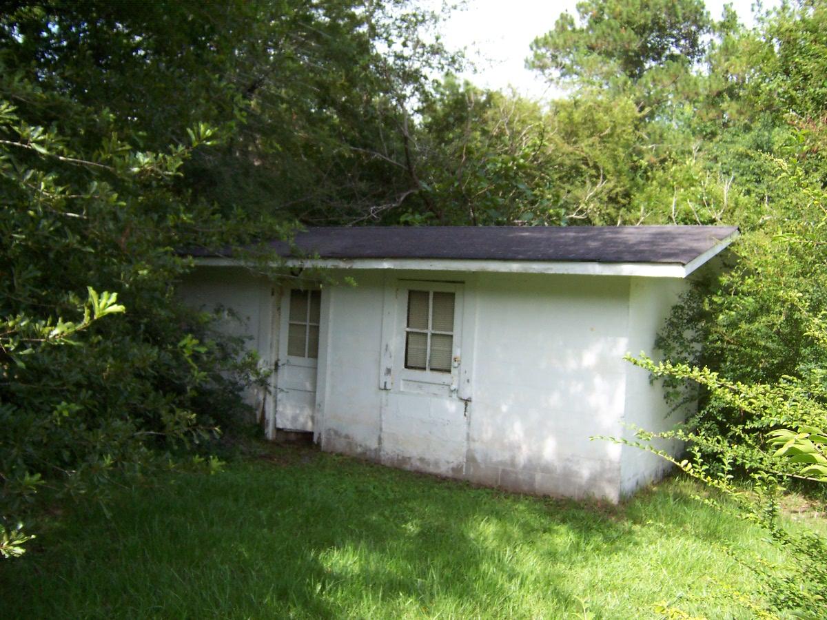 5337 Old River Road Baker, FL 32531 - Photo 6 of 61 a view of a backyard with plants and large tree