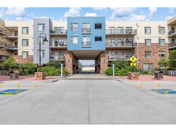 a view of a pathway with flowers