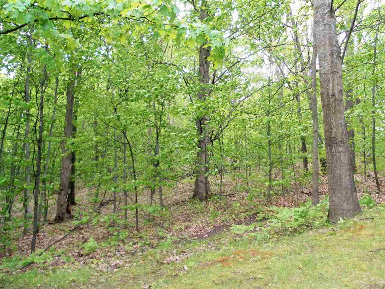 864 North 41 1/2 Road Manton, MI 49663 - Photo 28 of 28 1831819-28.JPG