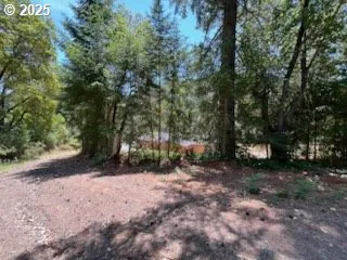 a view of a yard with a tree