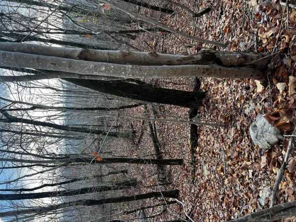 $399,999 | 0 Rocky Ledge Road, Hixson, TN 37343