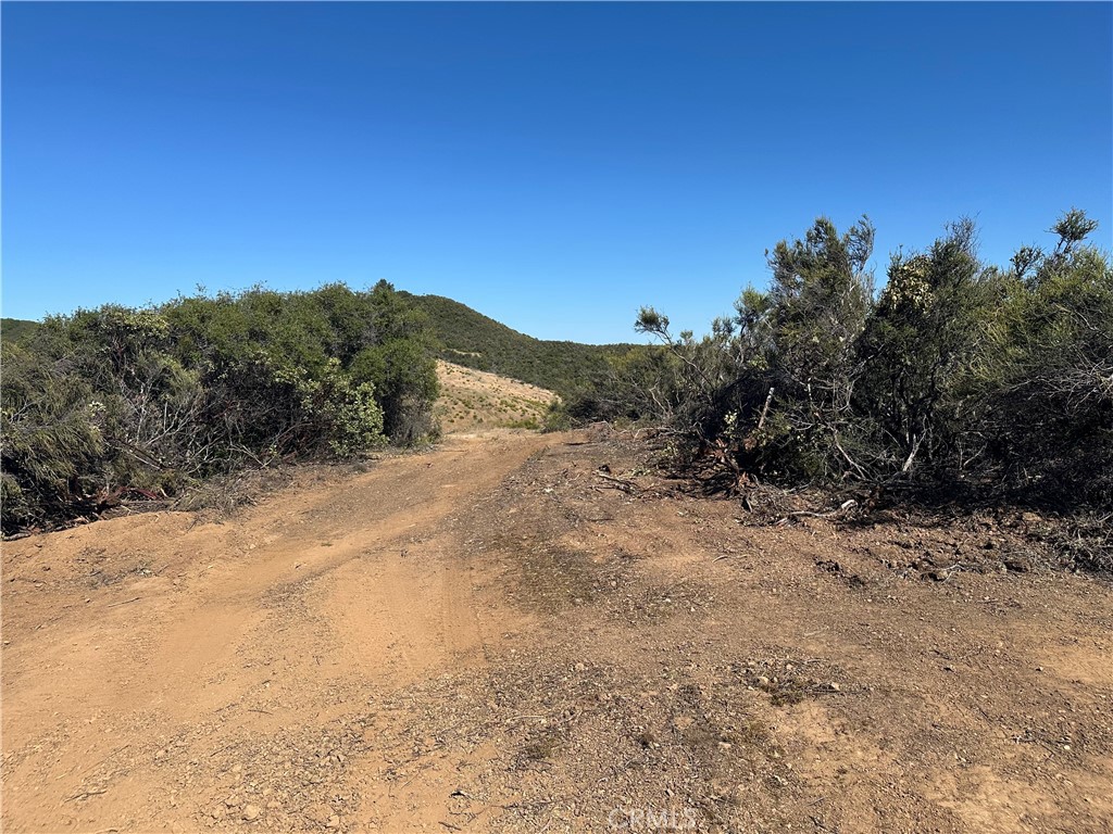 7157 Amber Ridge Court Lakeport, CA 95453 - Photo 3 of 7 a view of a dry yard with mountains in the background