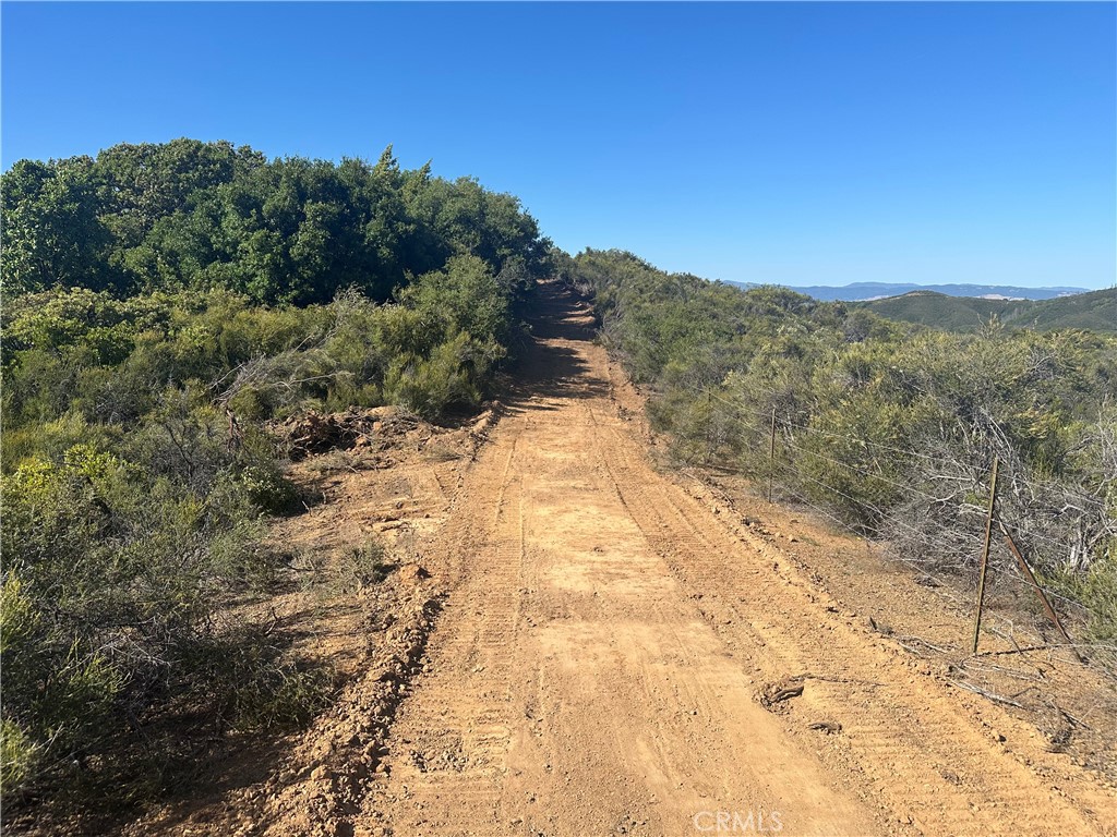 7157 Amber Ridge Court Lakeport, CA 95453 - Photo 4 of 7 a view of a yard with a pathway