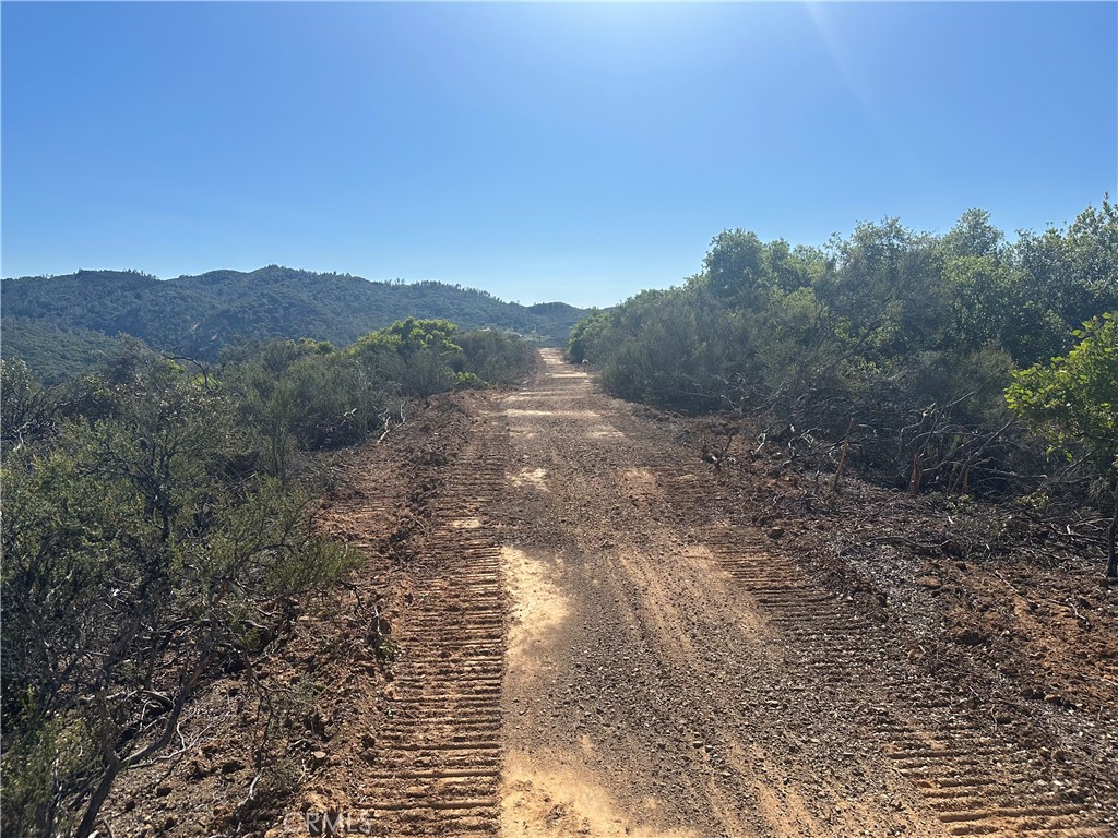 7157 Amber Ridge Court Lakeport, CA 95453 - Photo 5 of 7 a view of a yard with a tree