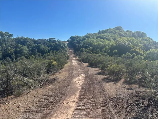 a view of a pathway both side of yard