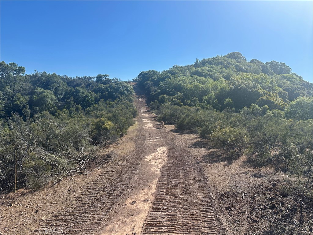 7157 Amber Ridge Court Lakeport, CA 95453 - Photo 6 of 7 a view of a pathway both side of yard