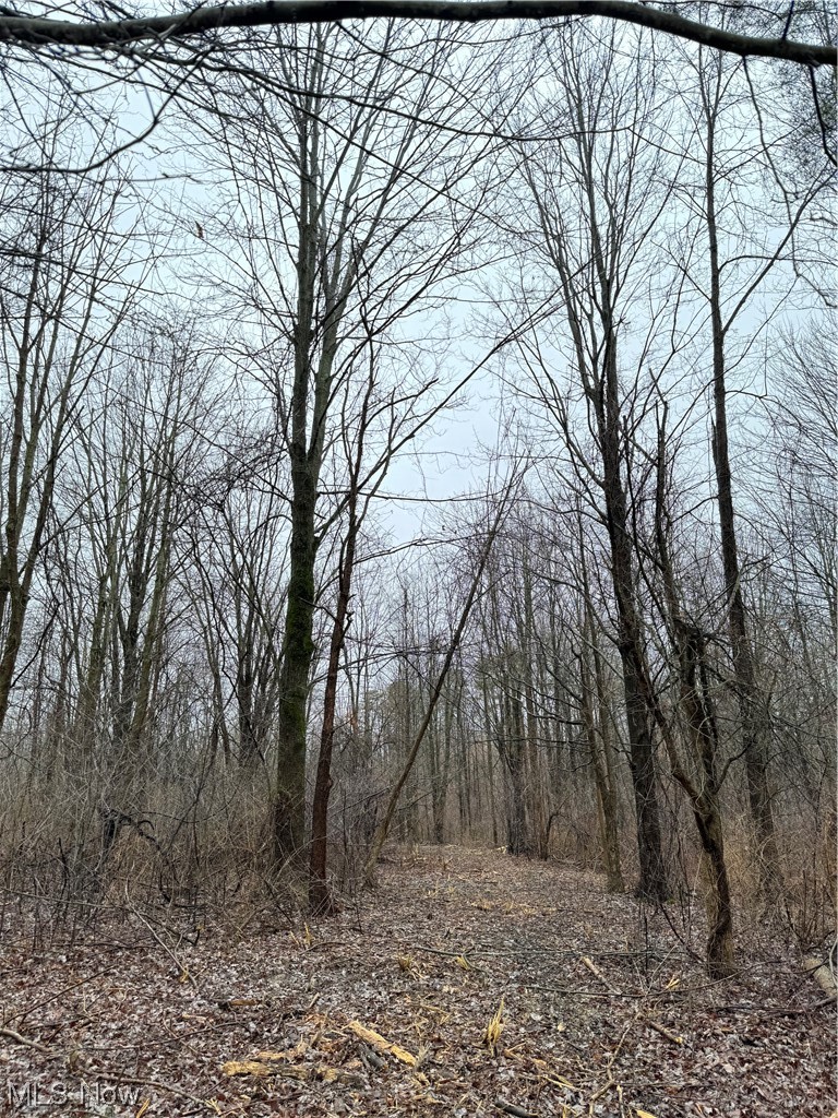 2 Bates Road Madison, OH 44057 - Photo 13 of 23