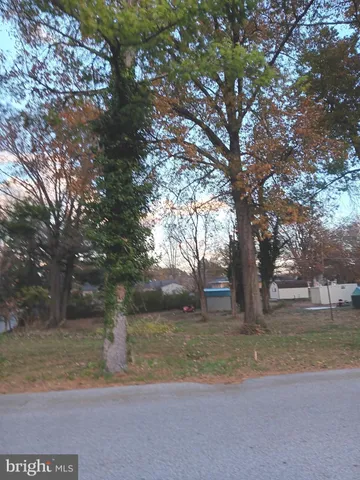 a view of yard with tree