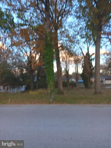 a view of swimming pool and trees in the background