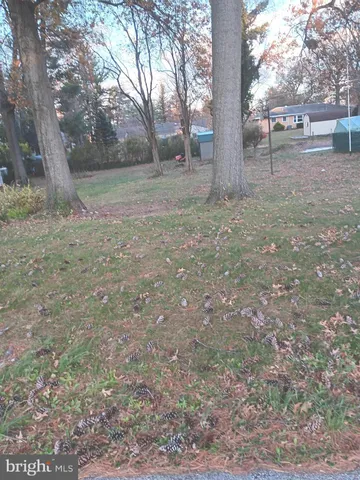 a view of a yard with trees