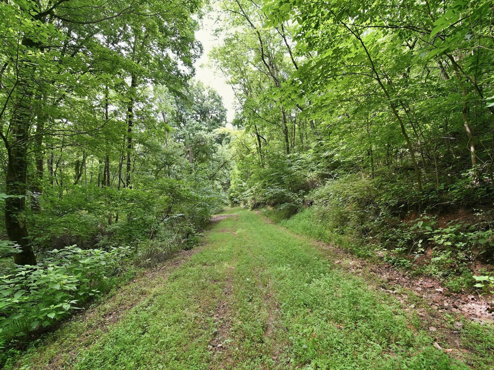 168 Sherfield Road Fayetteville, TN 37334 - Photo 49 of 63