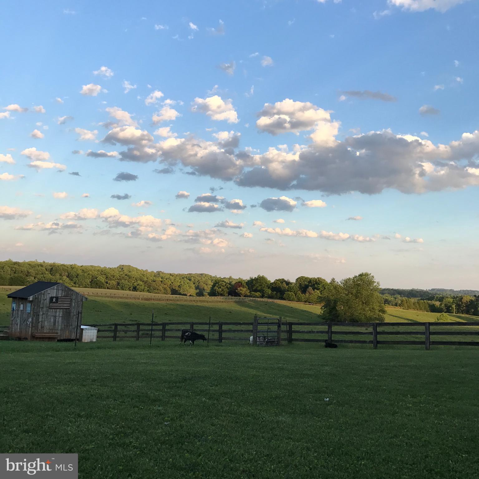 18263 Ryland Chapel Road Rixeyville, VA 22737 - Photo 12 of 18 Gallery Image 12