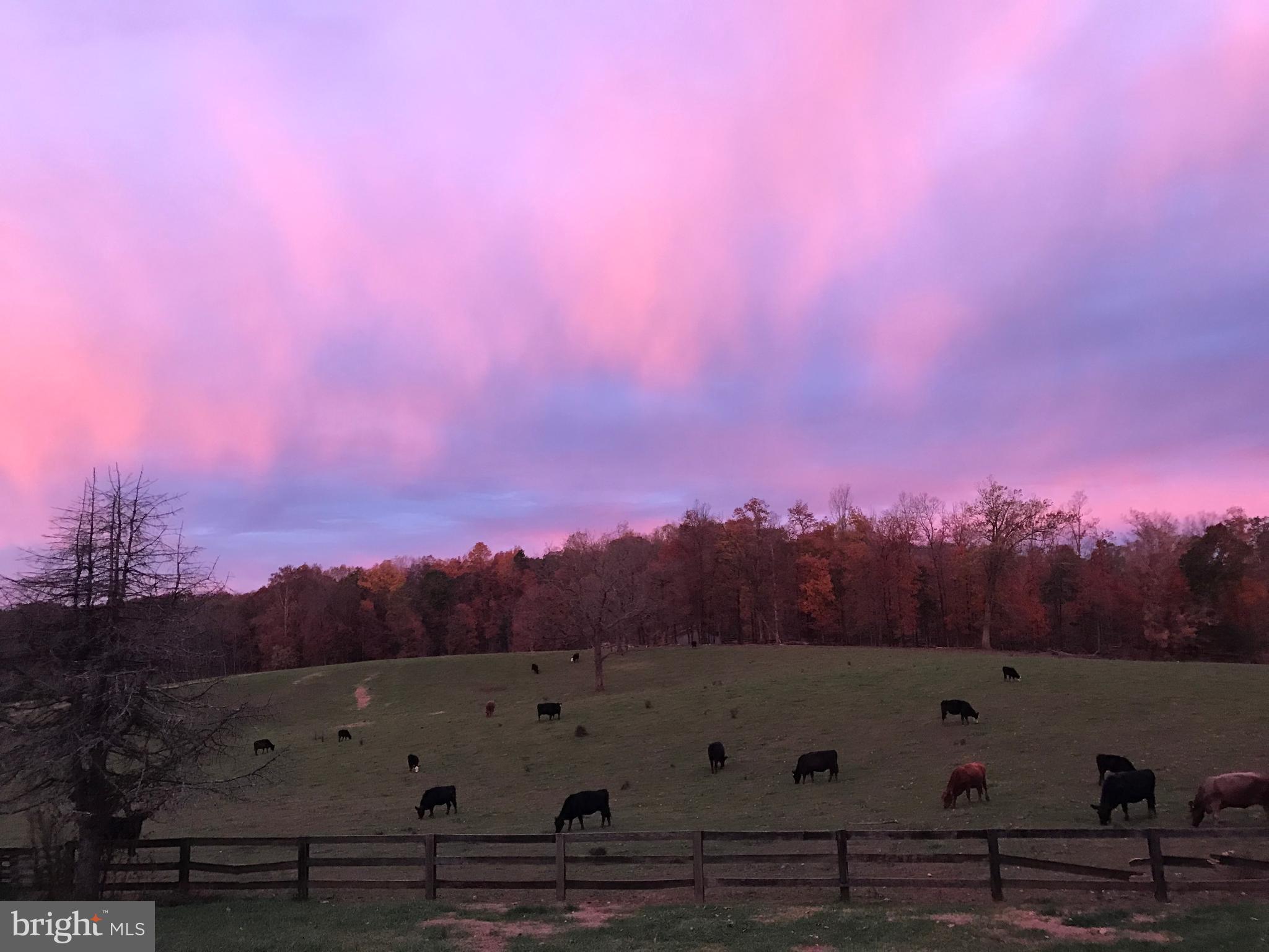 18263 Ryland Chapel Road Rixeyville, VA 22737 - Photo 16 of 18 Gallery Image 16