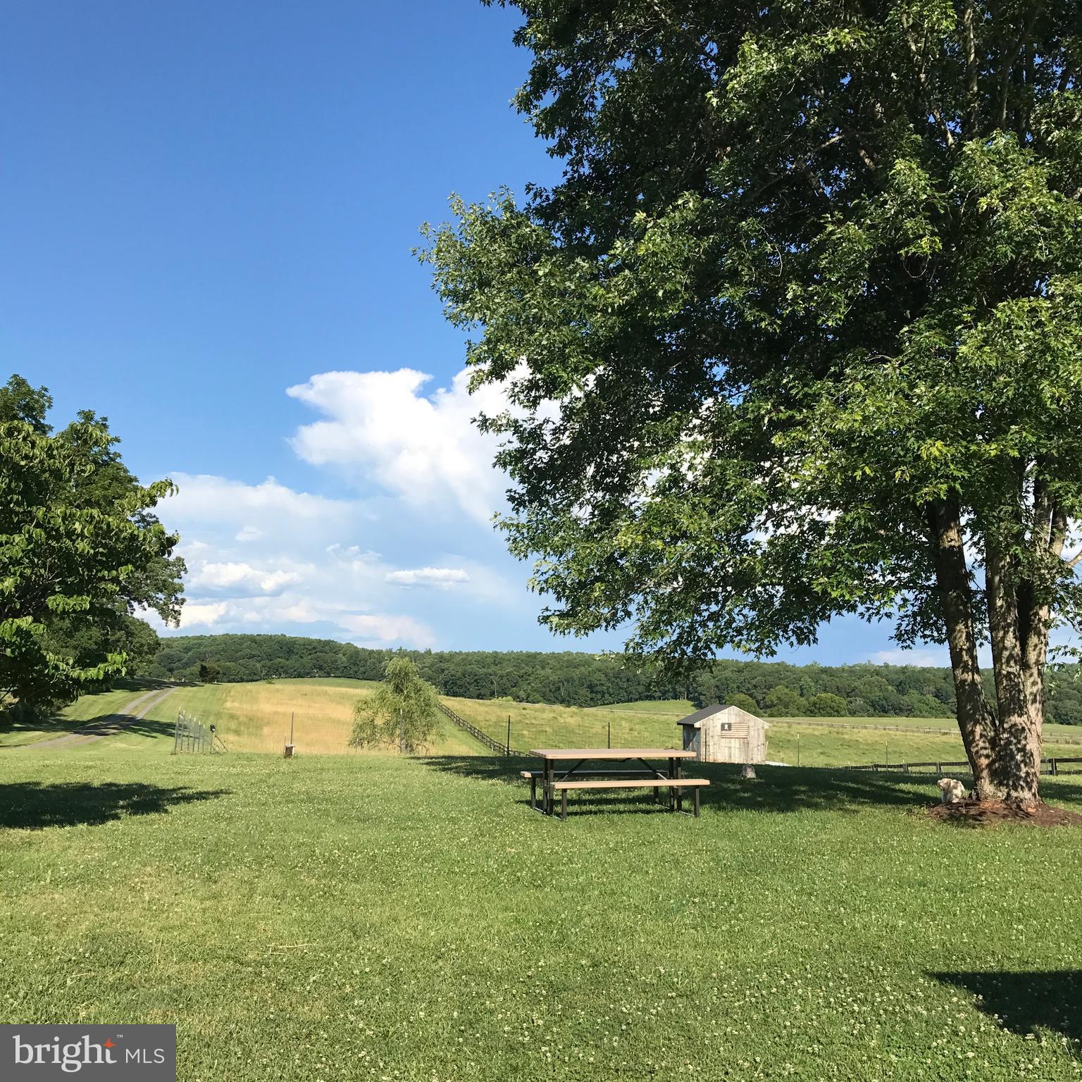 18263 Ryland Chapel Road Rixeyville, VA 22737 - Photo 10 of 18 Gallery Image 10