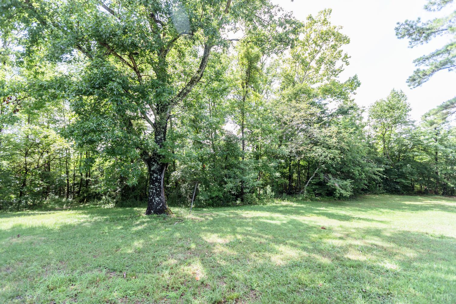 1338 Wickliffe Road Brookneal, VA 24528 - Photo 21 of 24 a view of outdoor space with deck and yard