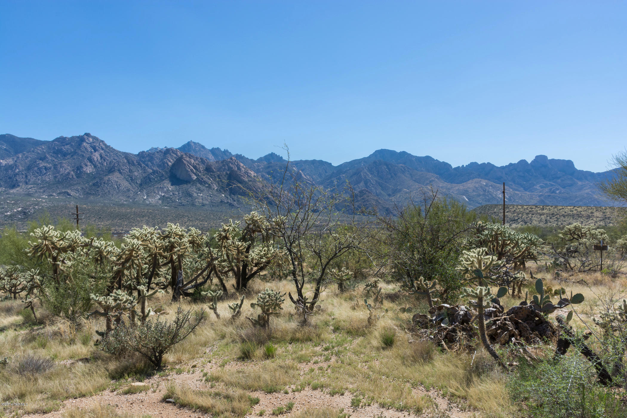 14442 North Swan Road Tucson, AZ 85739 - Photo 2 of 24