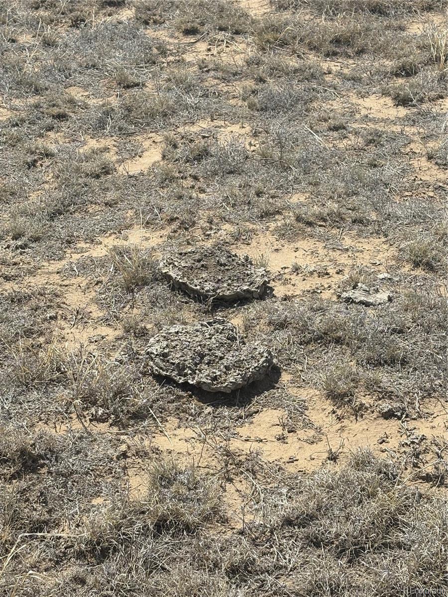 Lot 10 Cuerno Verde Ranch Walsenburg, CO 81089 - Photo 3 of 14
