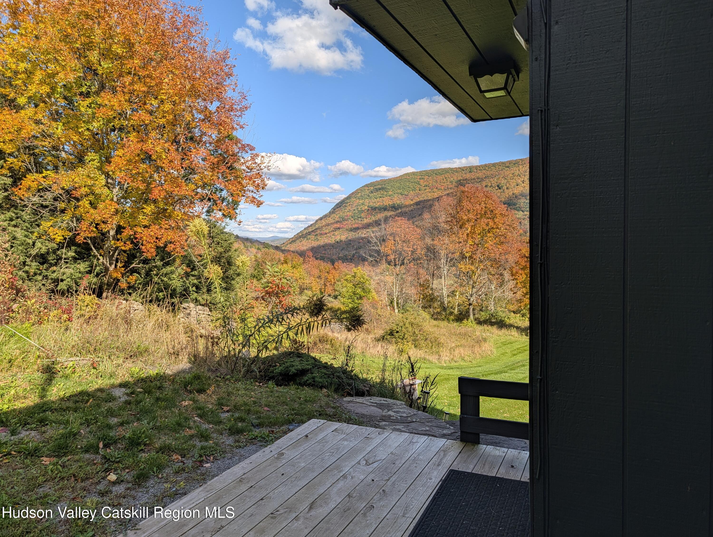 222 Upper Gorge View Lane Roxbury, NY 12474 - Photo 52 of 54 5979