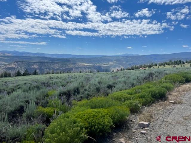 924 Cinammon Trail Powderhorn, CO 81243 - Photo 2 of 6 a view of a lake in middle of forest