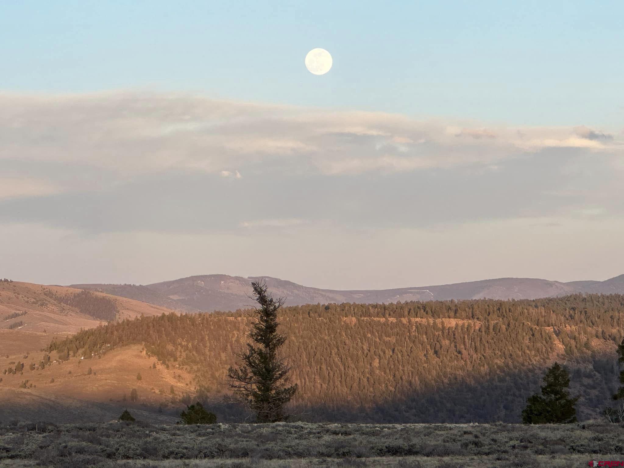 924 Cinammon Trail Powderhorn, CO 81243 - Photo 3 of 6 a view of a city with mountain