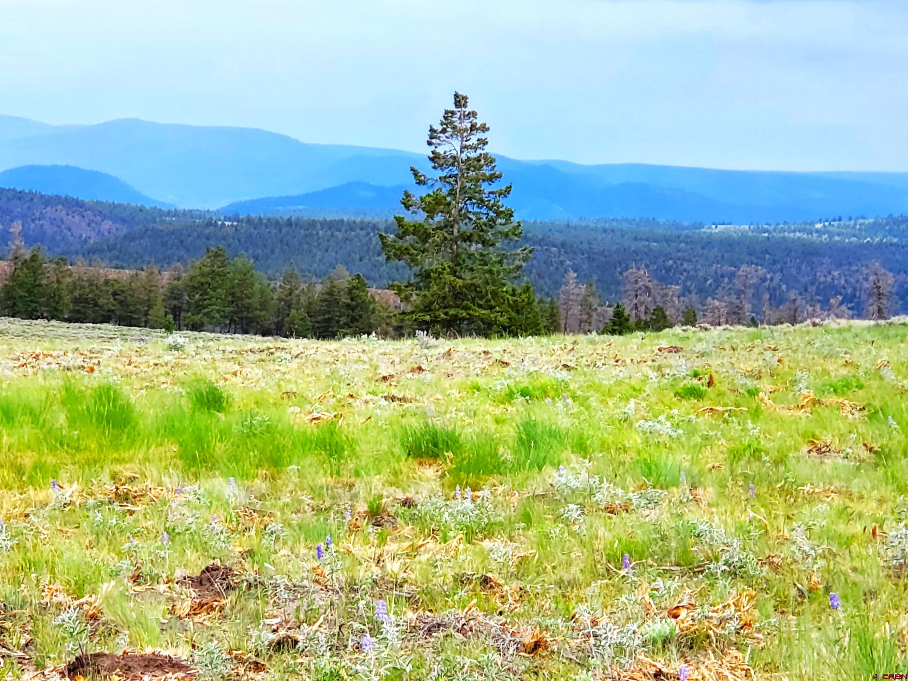 924 Cinammon Trail Powderhorn, CO 81243 - Photo 4 of 6 a view of an outdoor space and mountain view