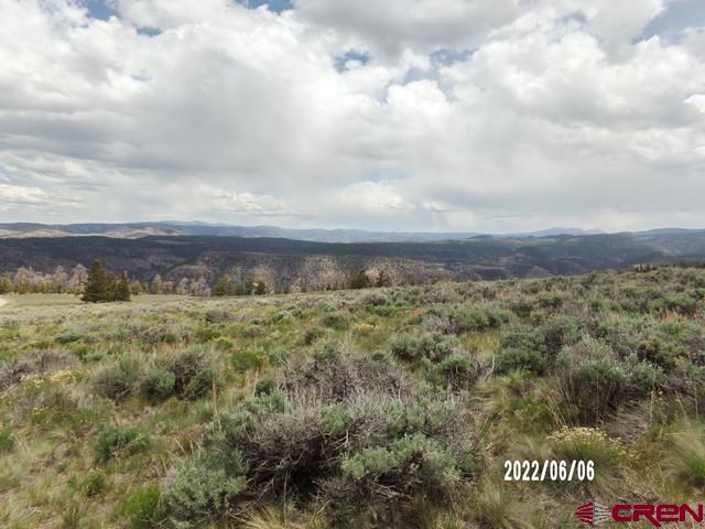 924 Cinammon Trail Powderhorn, CO 81243 - Photo 5 of 6 a view of a yard