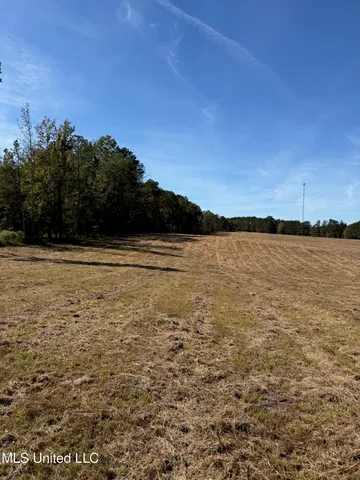 $150,260 | Hwy-25 Street North, Carthage, MS 39051