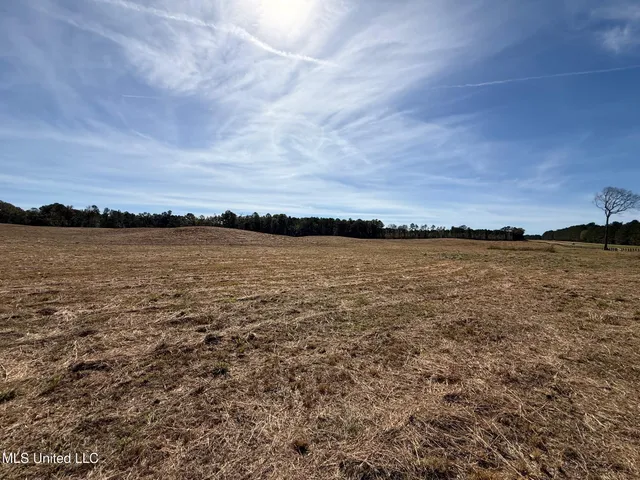 $150,260 | Hwy-25 Street North, Carthage, MS 39051