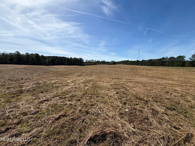 $150,260 | Hwy-25 Street North, Carthage, MS 39051