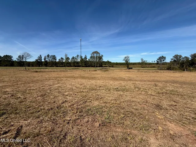 $150,260 | Hwy-25 Street North, Carthage, MS 39051