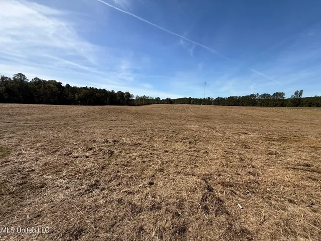 $150,260 | Hwy-25 Street North, Carthage, MS 39051