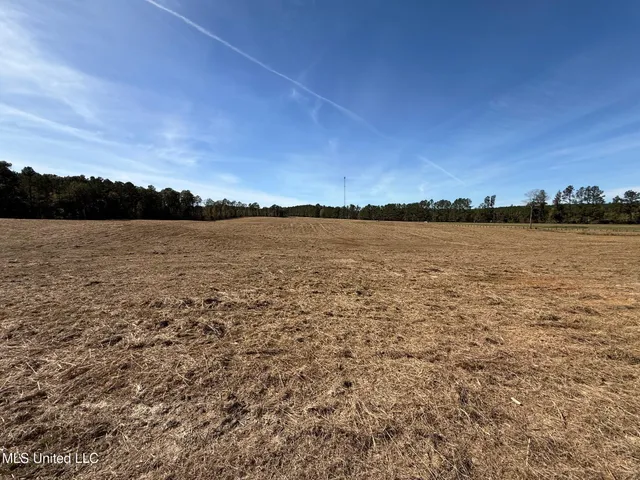 $150,260 | Hwy-25 Street North, Carthage, MS 39051