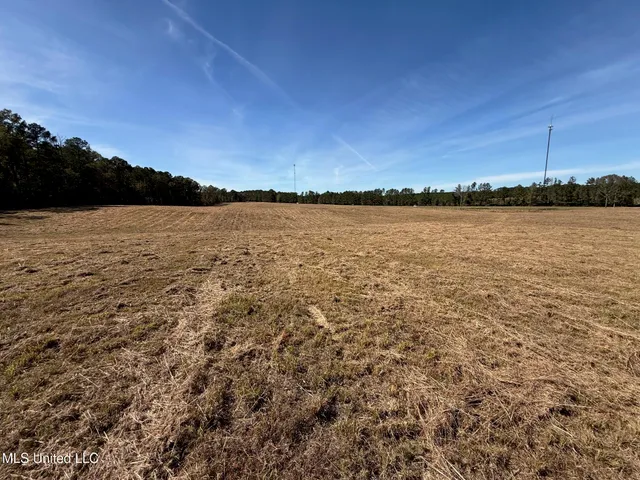 $150,260 | Hwy-25 Street North, Carthage, MS 39051