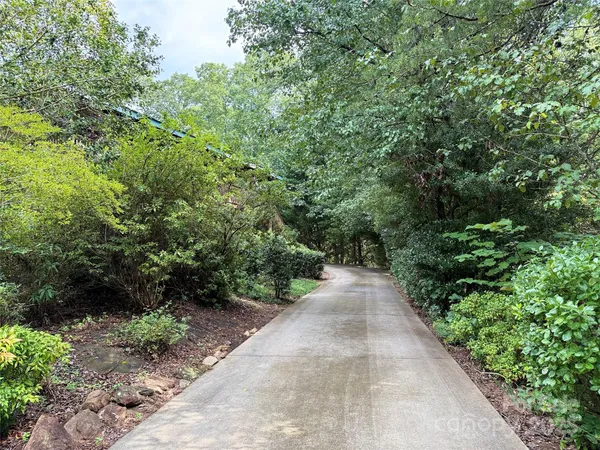 a view of a pathway both side of yard